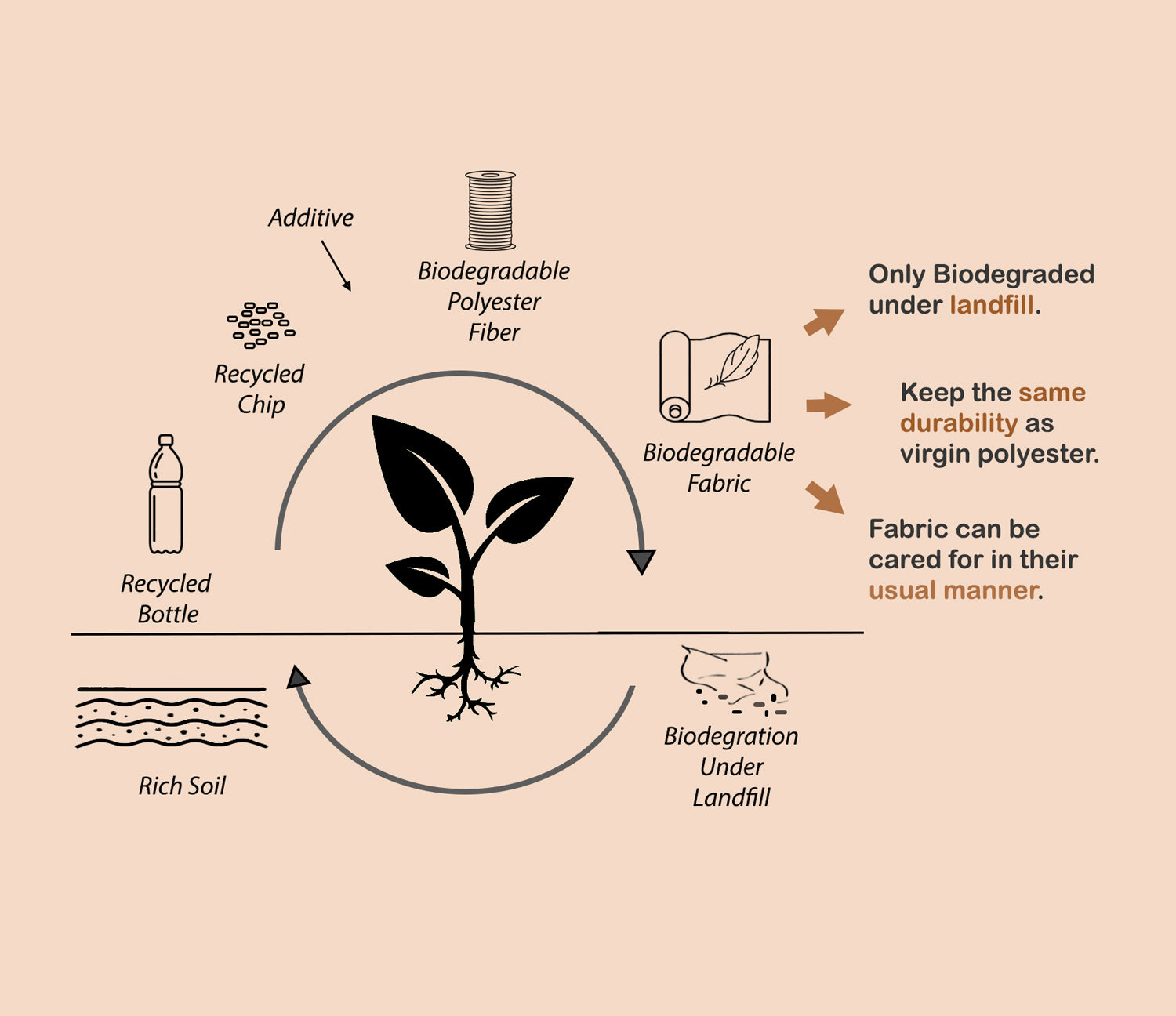 Biodegrading Materials Process Materials and Design – Oimmie